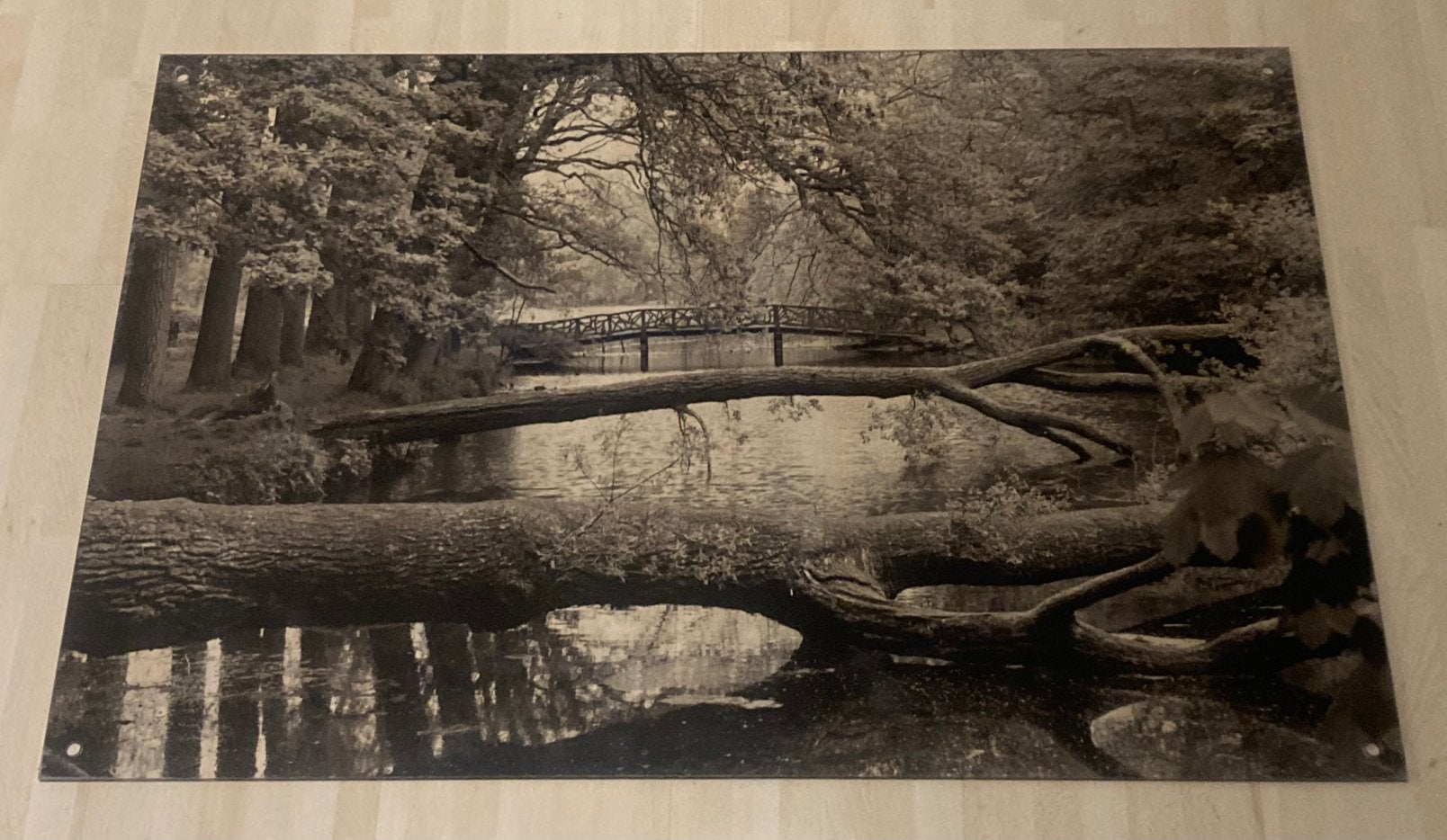 Foto op plexiglas, Ophalen, Natuur, 1980 tot heden, Foto