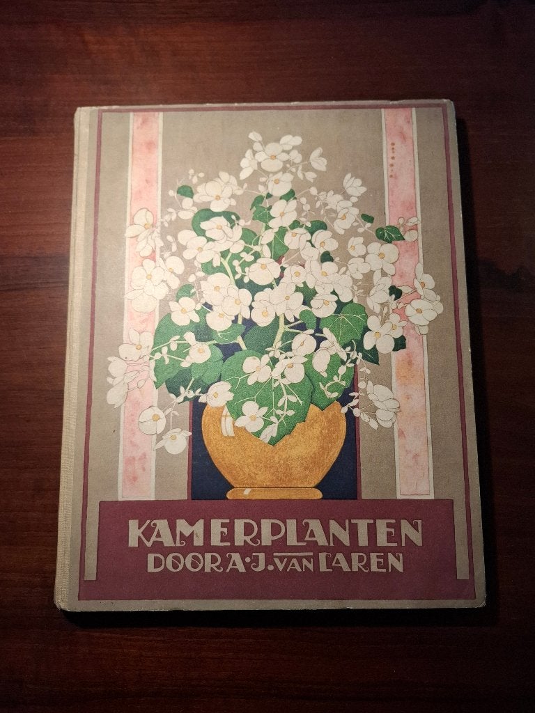 Plaatjesalbum Verkade - Kamerplanten (1928), Boeken, Ophalen of Verzenden, Gelezen, A.J van Laren, Plaatjesalbum