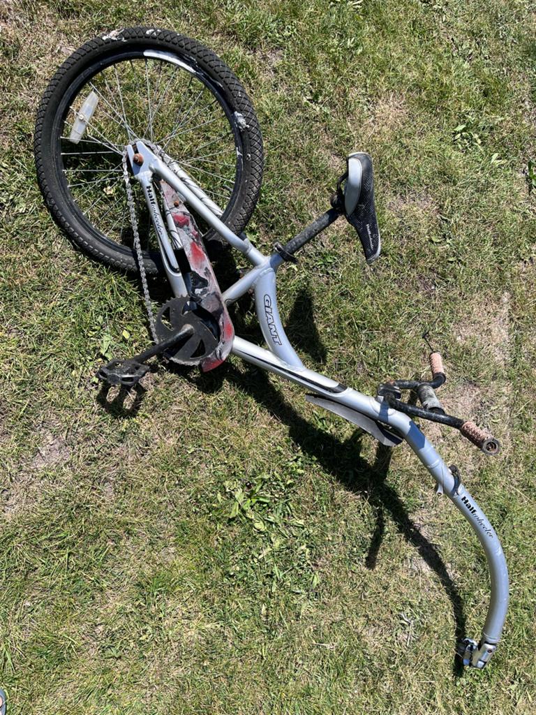 Giant Halfwheeler Aanhangfiets - Kinderfietsaanhanger, Fietsen en Brommers, Ophalen, Gebruikt, Aanhangfiets, Minder dan 20 kg