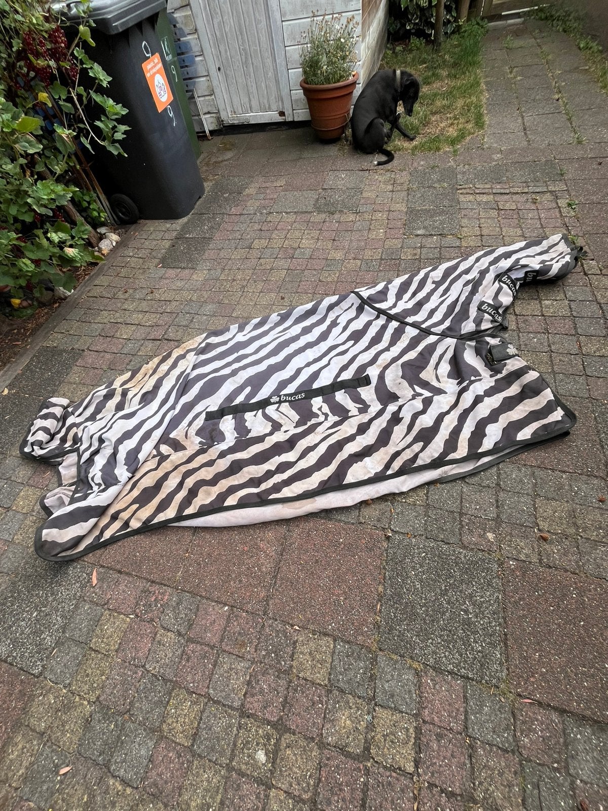 Bucas zebra Vliegendeken, Ophalen of Verzenden, Gebruikt