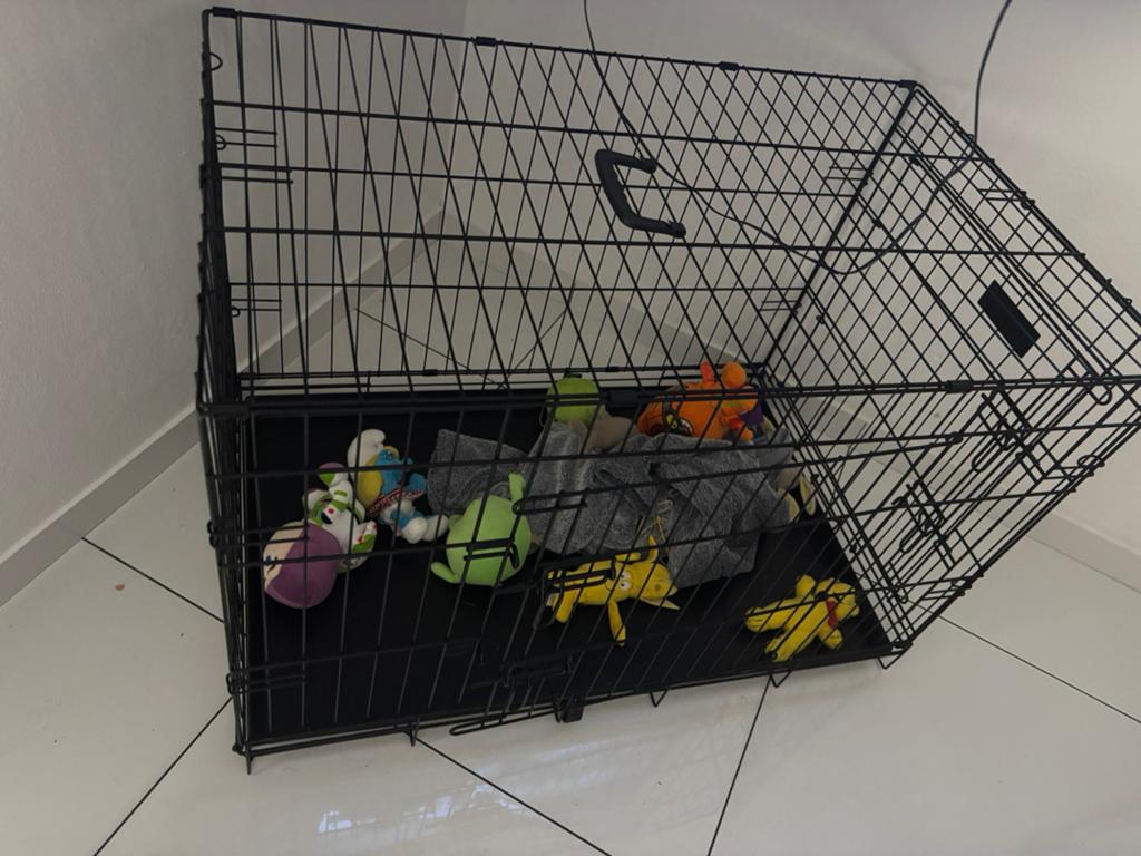 Honden kooi of katten kooi, Ophalen of Verzenden, Nieuw