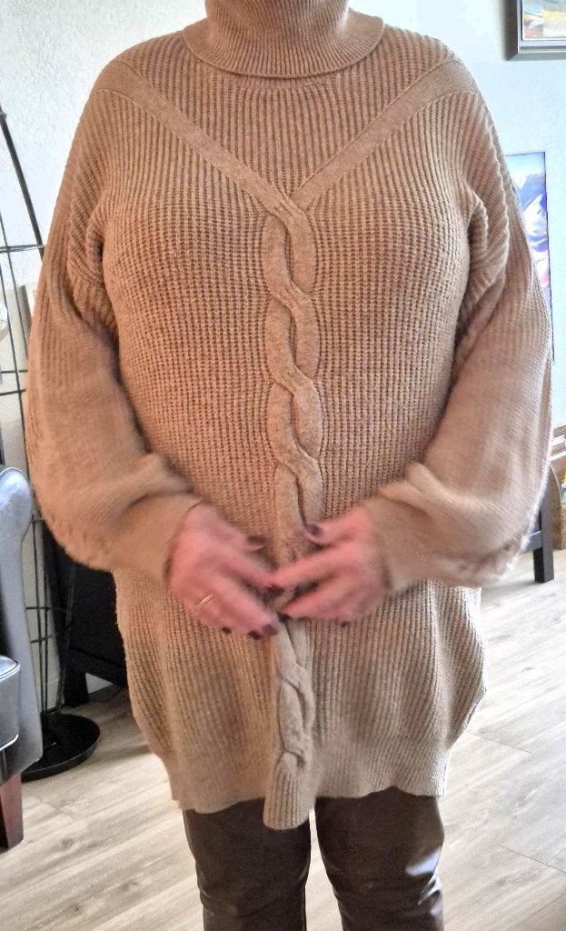 Dames Trui, Ophalen, Zo goed als nieuw, Maat 42/44 (L), Bruin