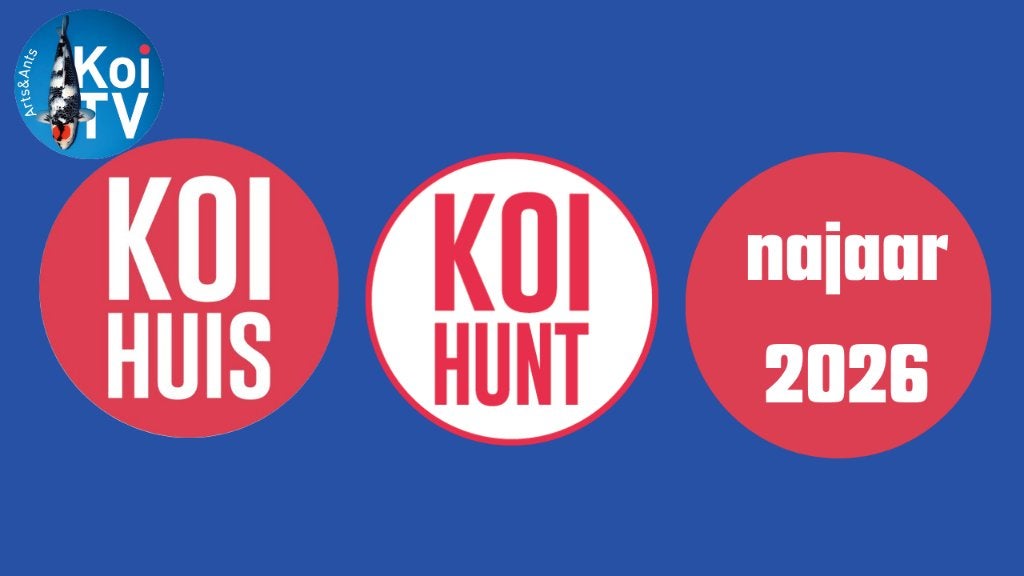 Japanse koi koihunt, Karper of Koi