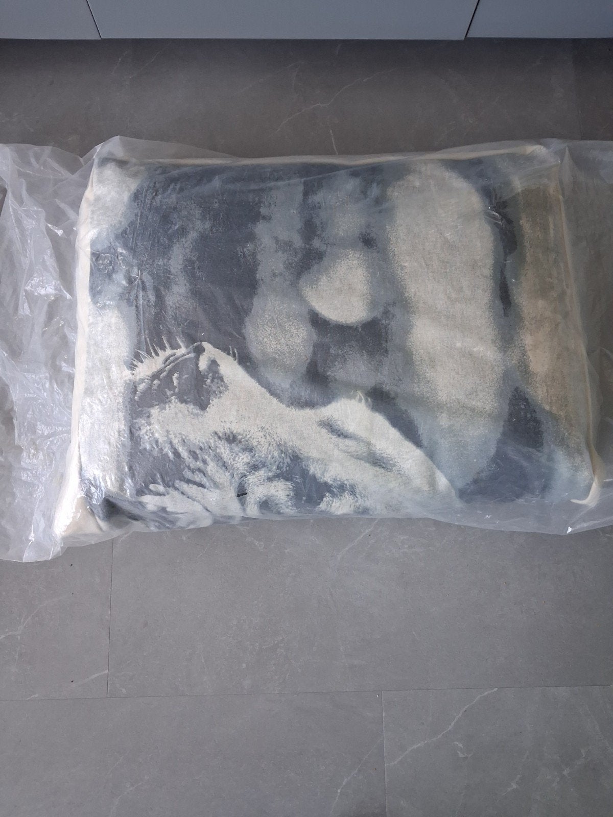 Te koop: nieuw hondenkussen., Ophalen of Verzenden, Nieuw