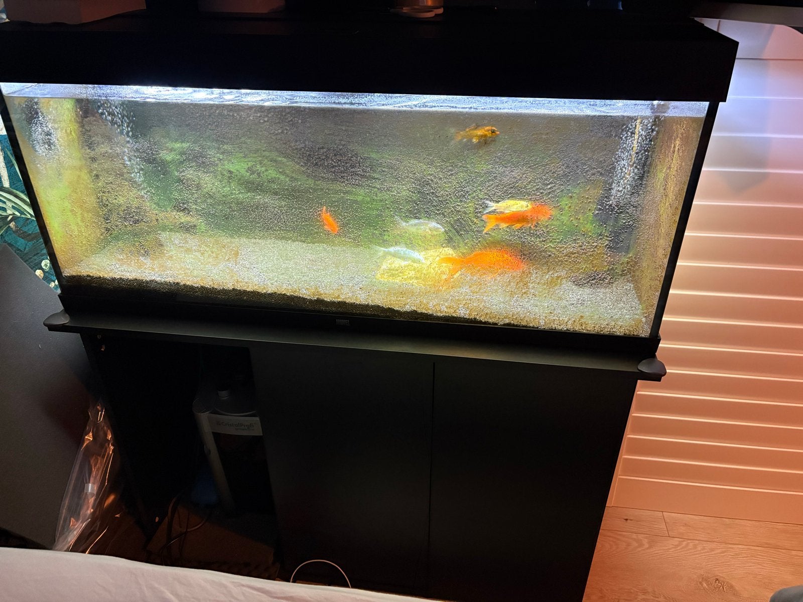 Aqaurium (zonder vissen) inclusief pomp, Ophalen, Leeg aquarium