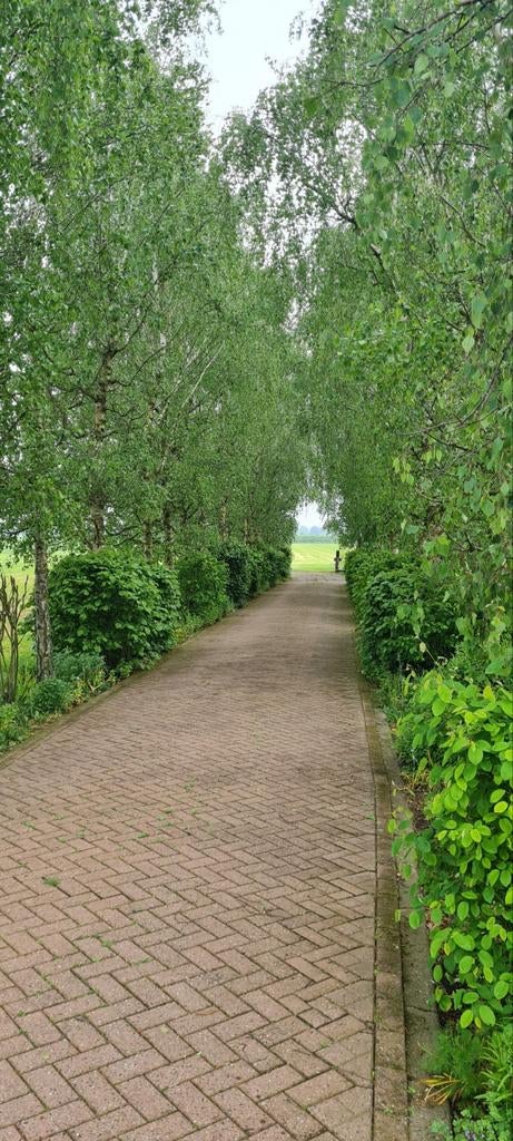 Weide en stalling, Dieren en Toebehoren, Stalling en Weidegang, Stalling