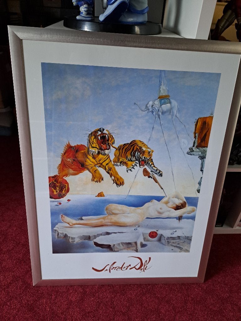 Posters Salvador Dali ingelijst, Ophalen, Zo goed als nieuw, Foto of Poster, 75 – 100