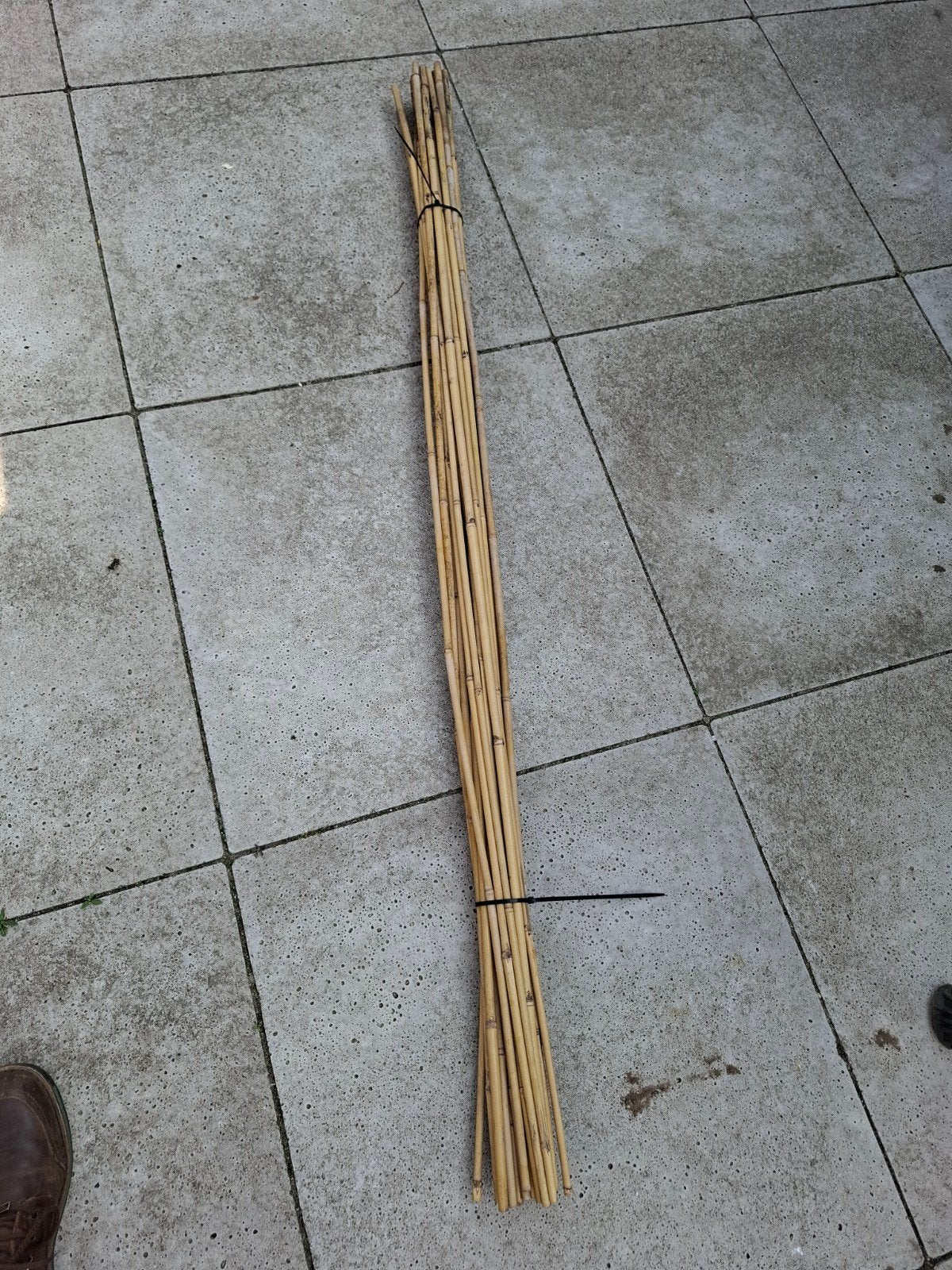Bundel Bamboe stokken +- 150 cm  voor plantensteun, Ophalen