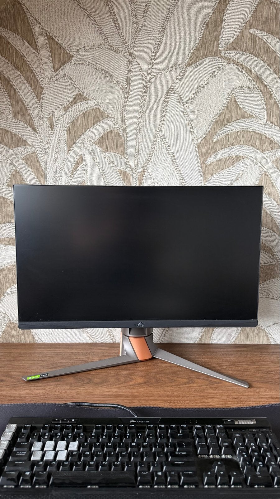 ROG Swift PG259QN 360Hz Gaming Monitor, Computers en Software, Gaming, IPS, In hoogte verstelbaar, Full HD
