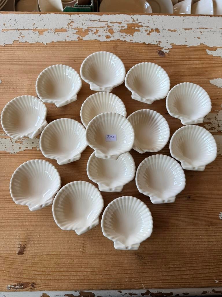 Wedgwood EDME schelpjes