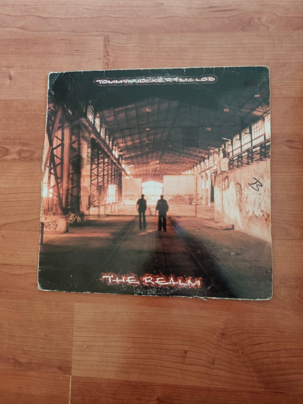 Traxtorm Records - Tommyknocker The Realm( 9917) original, Boeken, Ophalen of Verzenden, Architecten