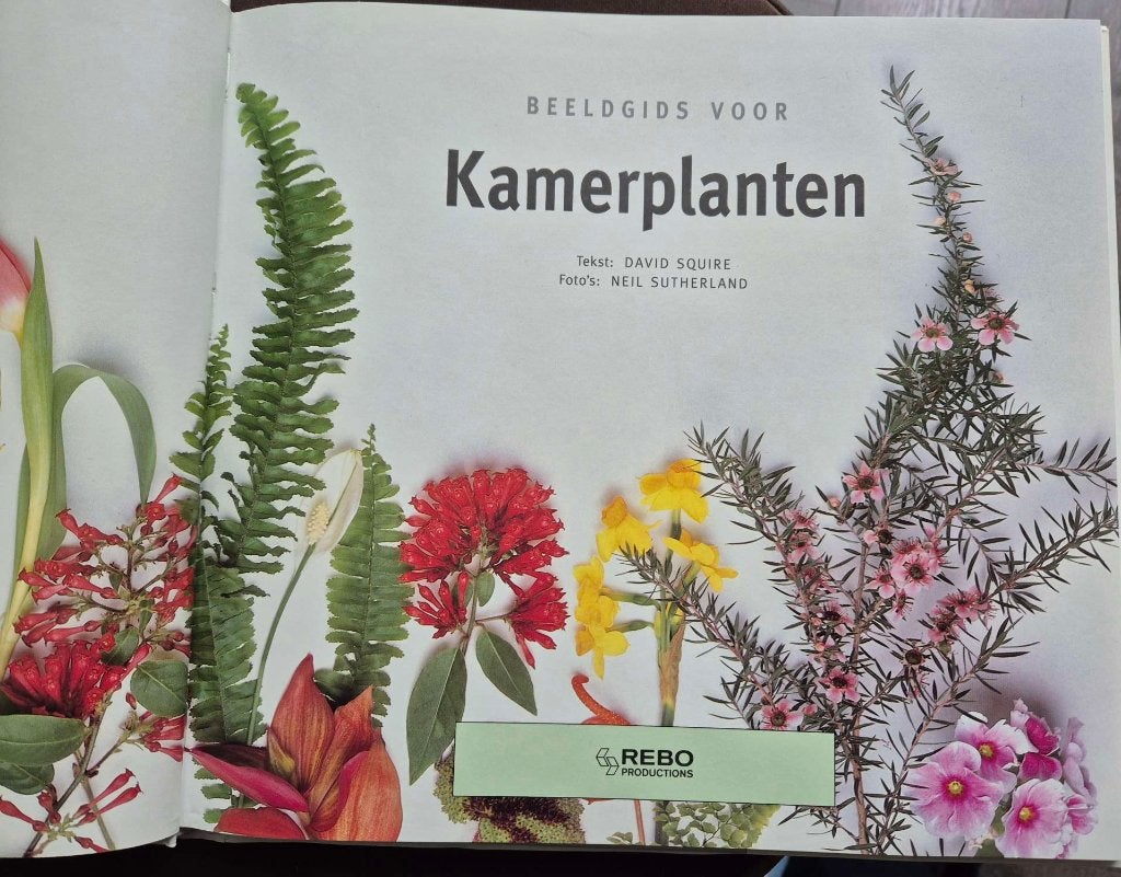 Beeldgids voor Kamerplanten, Boeken, Ophalen of Verzenden, Zo goed als nieuw, Kamerplanten
