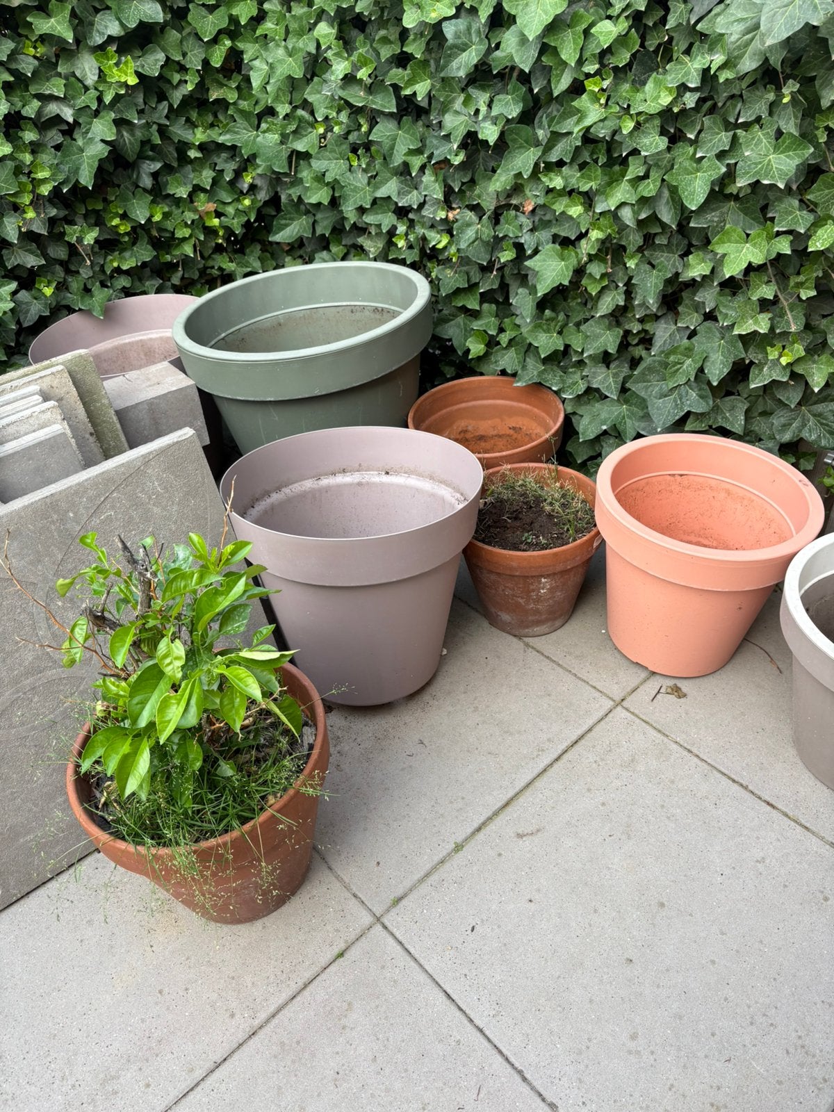 Verschillende soorten potten, Tuin en Terras, Bloempotten, Ophalen, Kunststof, Gebruikt, Rond