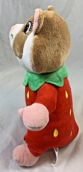 Albert Heijn Hamster Aardbei Knuffel Pluche AH fruit, Coolsingel 104, 3011 AG Rotterdam, Netherlands, Overige typen, Zo goed als nieuw