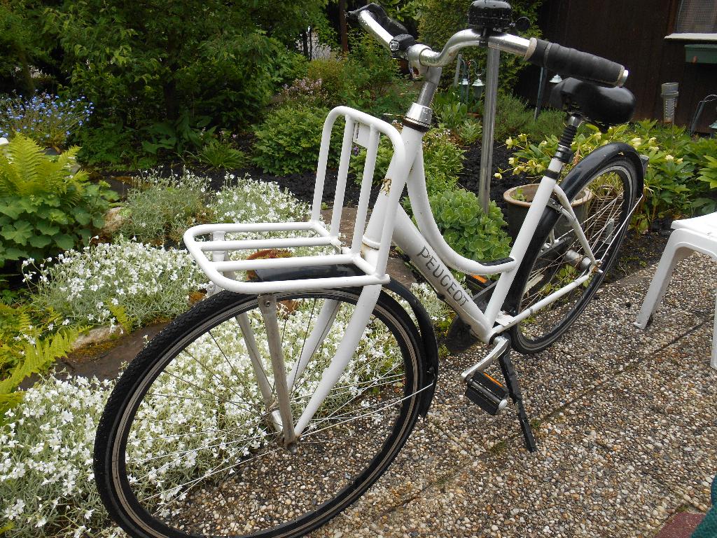 transportfiets, Fietsen en Brommers, Fietsen | Dames | Damesfietsen, 56 cm of meer, Ophalen, Gebruikt, Overige merken