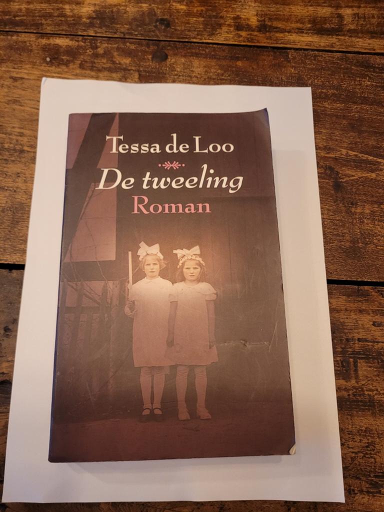 Roman De tweeling, Tessa de Loo, Ophalen of Verzenden, Zo goed als nieuw