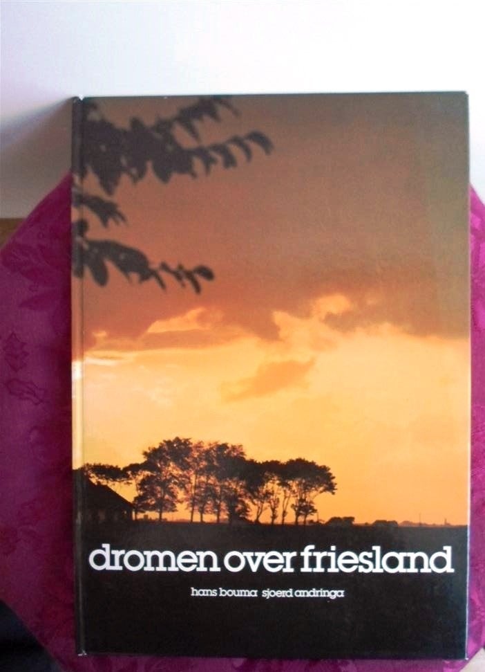 Boek: Dromen over Friesland, Ophalen of Verzenden, 20e eeuw of later, Zo goed als nieuw
