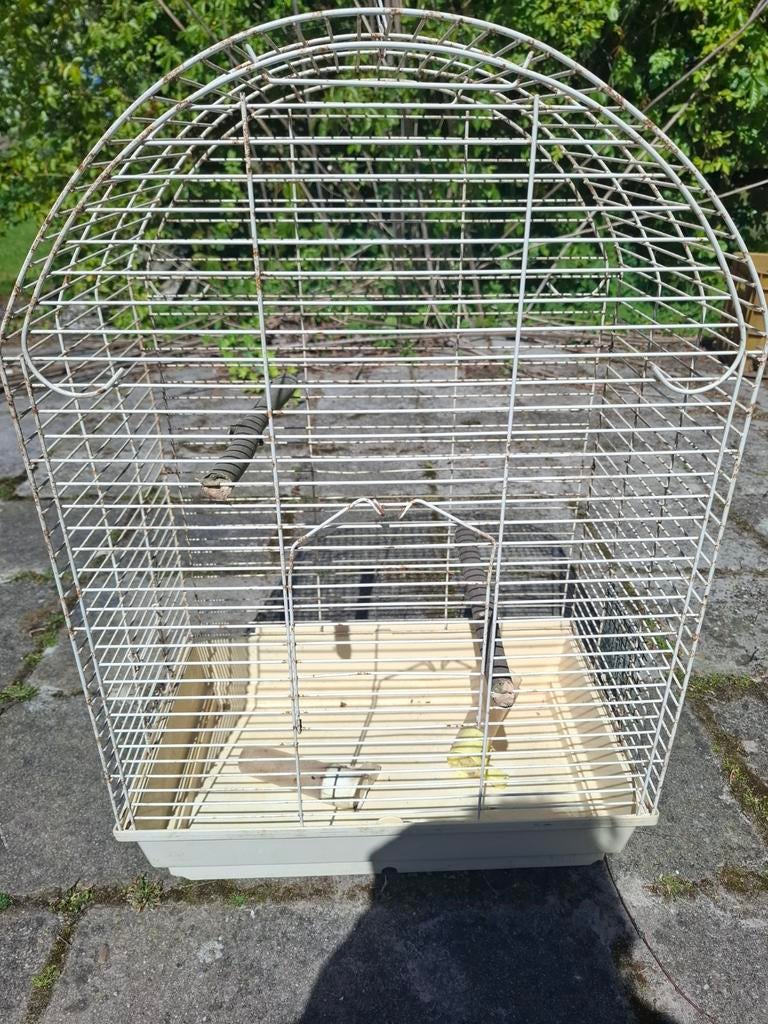 Parkietenkooi, Dieren en Toebehoren, Ophalen, Hout, Vogelkooi