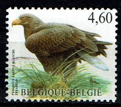 4,60€ Zeearend Buzin 2009 (OBP 3871 ), Ophalen of Verzenden, Gestempeld