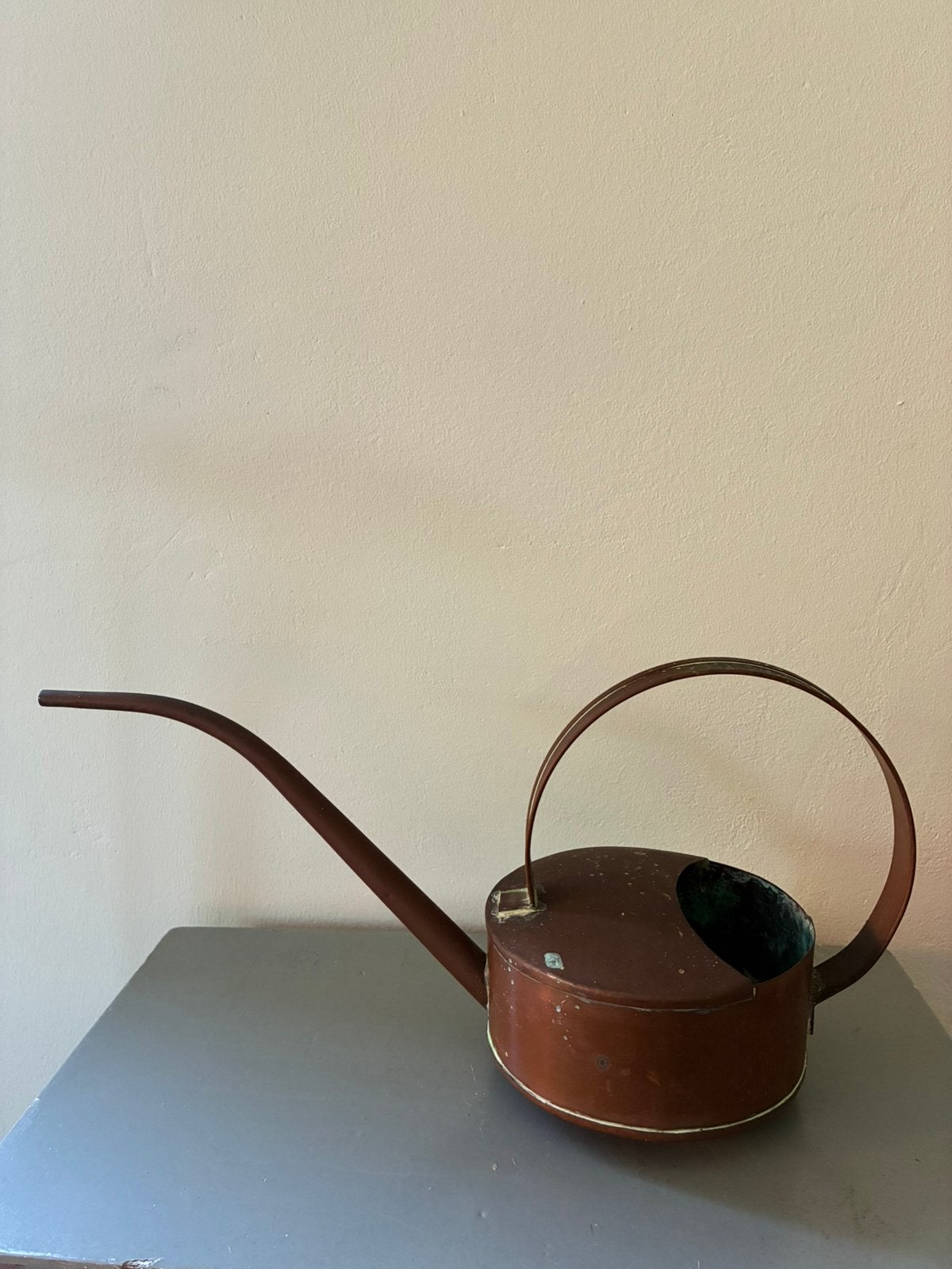 Vintage koperen gieter, Ophalen of Verzenden, Halfschaduw, Minder dan 100 cm