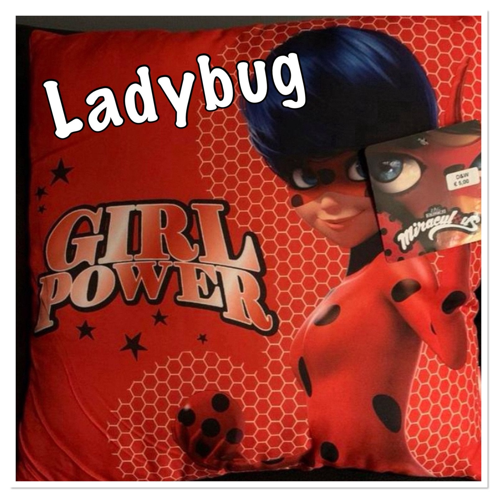 Ladybug kussen, Ophalen of Verzenden, Nieuw, Vierkant