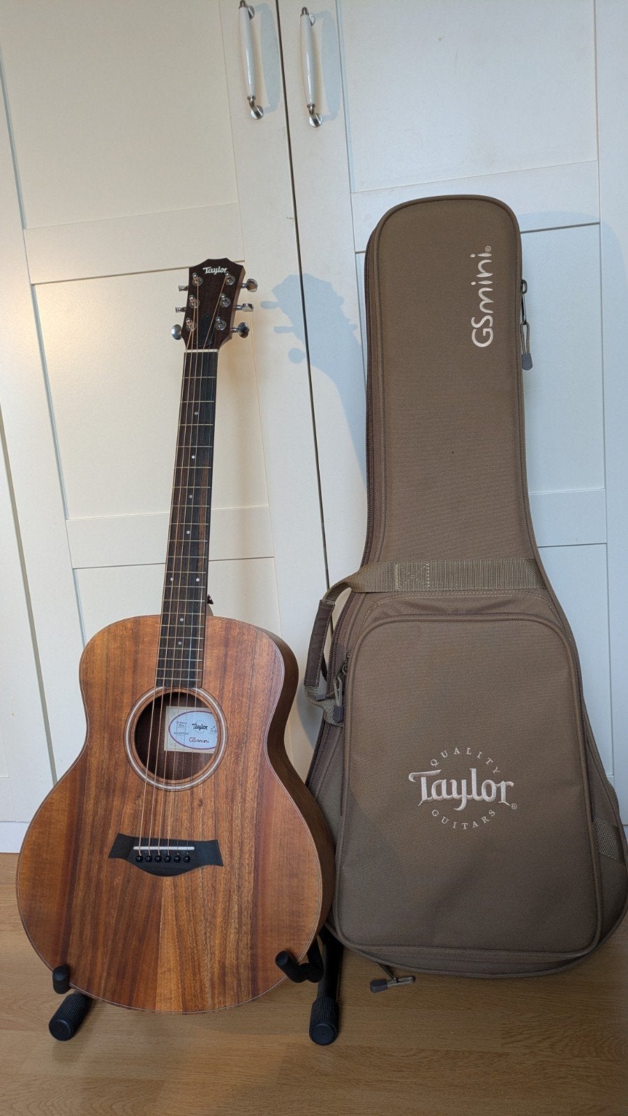 Taylor GS Mini-e Koa