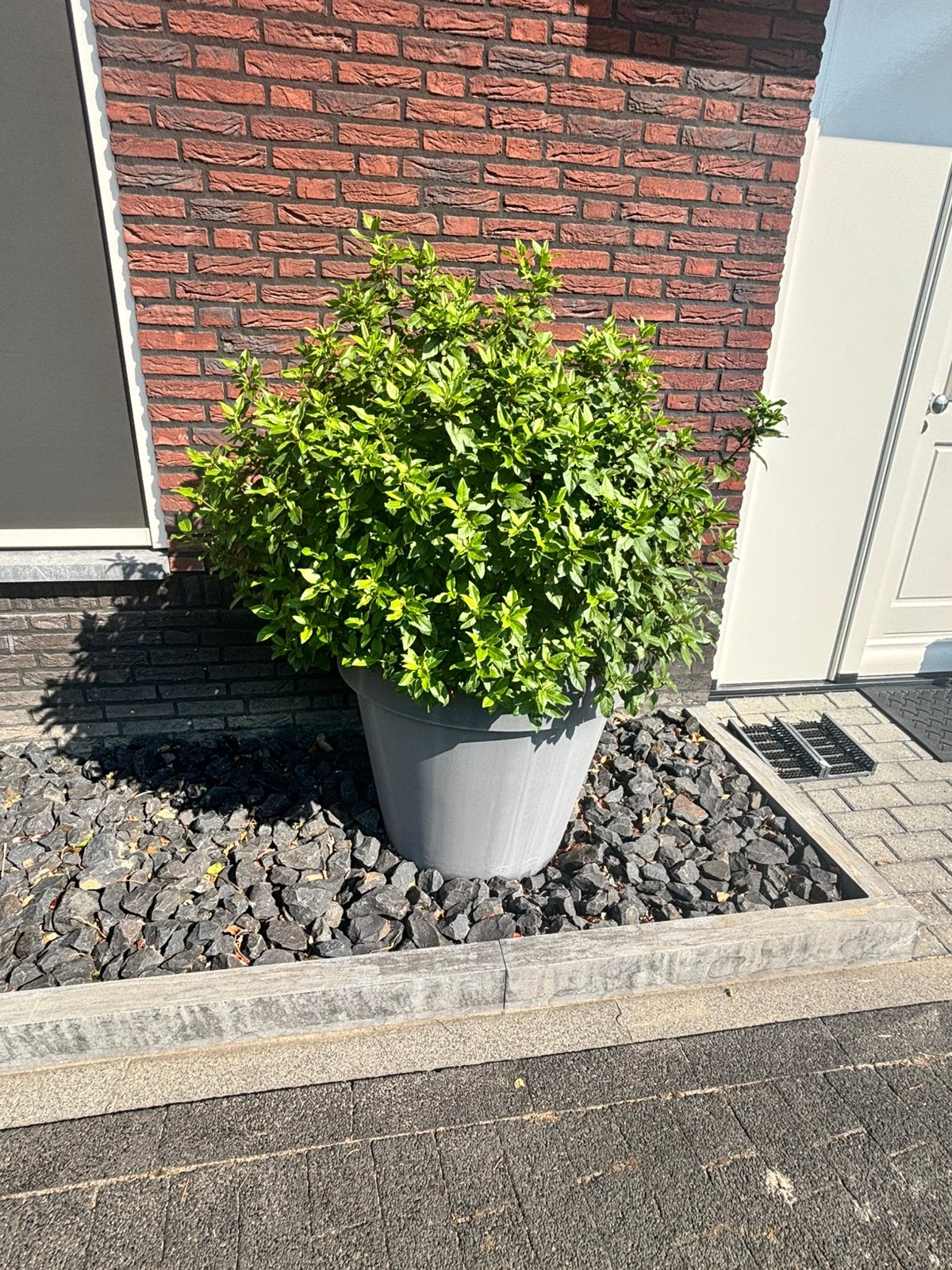 Te koop bloem potten incl planten, Ophalen, Rond, Aardewerk, Minder dan 25 cm