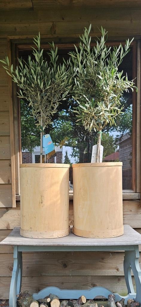 Set decoratieve oude houten tonnen voor tuin of interieur, Ophalen, Gebruikt, Balkon, Rond