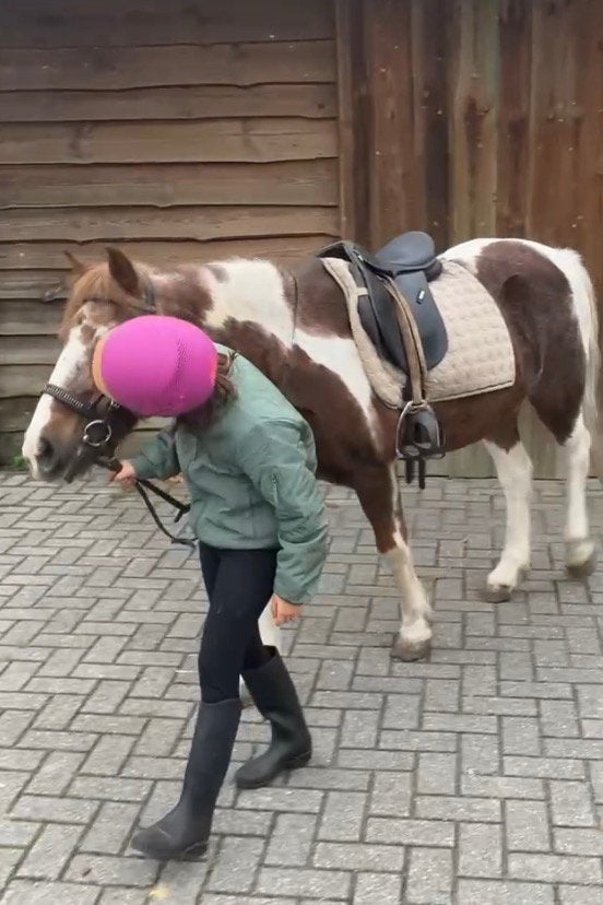 9-jarig meisje zoekt verzorgpony in regio Tilburg ️, Dieren en Toebehoren, Ophalen, Nieuw