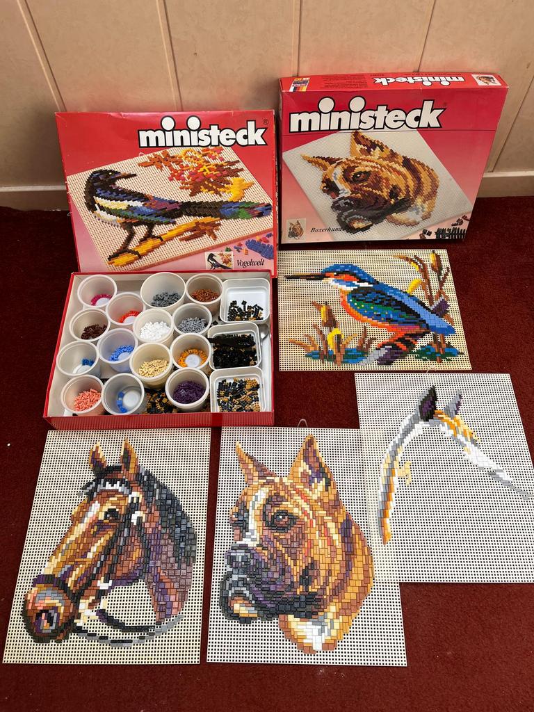 Ministeck Box-set: Boxerhond en Vogelwereld, Ophalen of Verzenden, Zo goed als nieuw