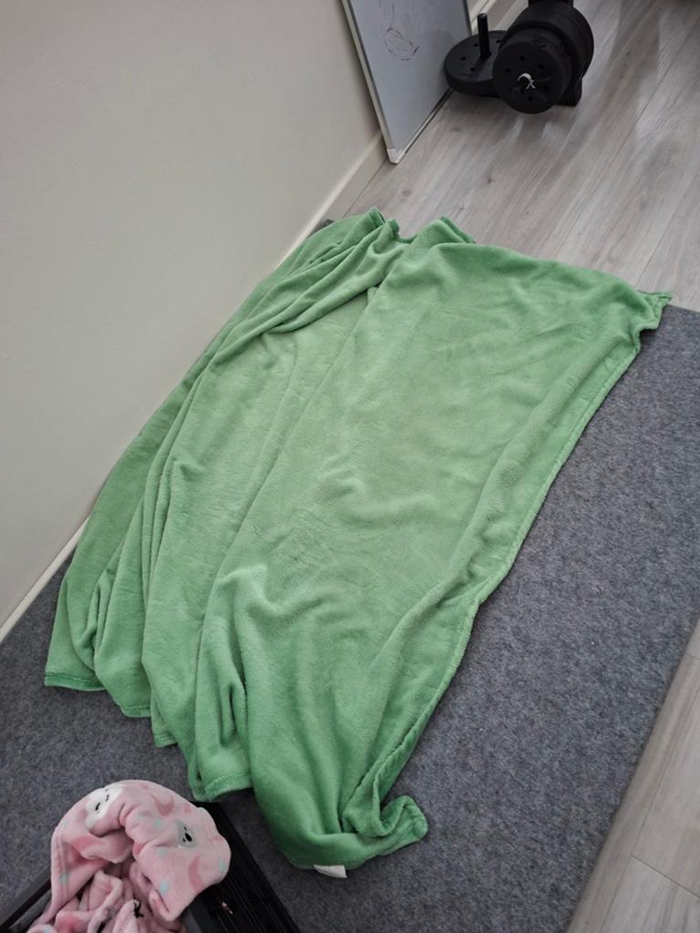 Groene fleece deken 140x180 cm, Huis en Inrichting, Ophalen of Verzenden, Gebruikt, Groen