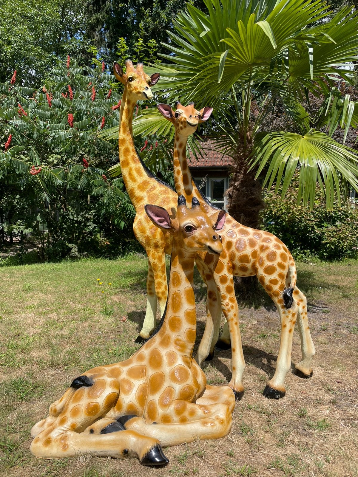 Set 3 giraffen beeld tuin dieren, Ophalen, Nieuw, Kunststof, Dierenbeeld