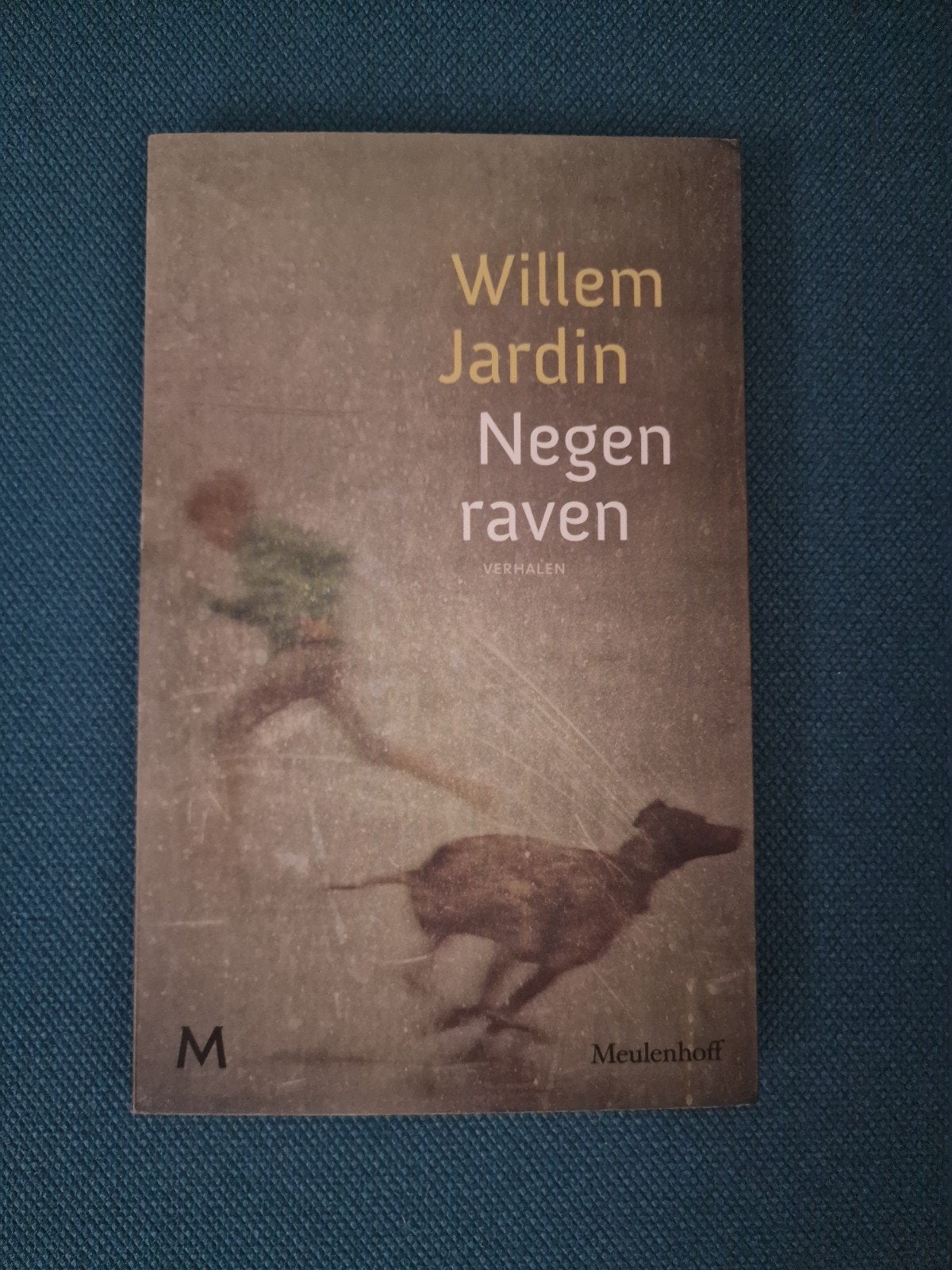 Willem Jardin - Negen raven, Boeken, Ophalen of Verzenden, Zo goed als nieuw, Willem Jardin