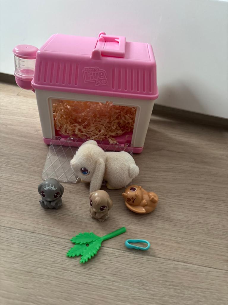 Little live pets konijn, Kinderen en Baby's, Speelgoed | Overig, Ophalen of Verzenden, Gebruikt, Jongen of Meisje
