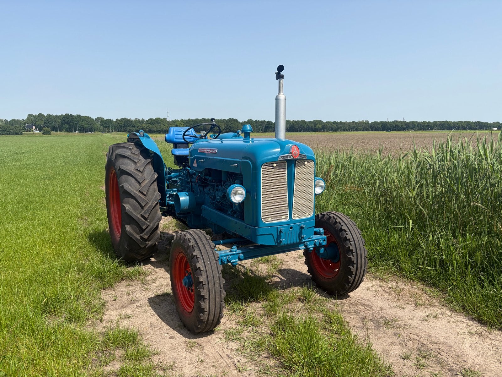 Fordson Super Major, Zakelijke goederen, Agrarisch | Tractoren, Ophalen, Tot 2500, Oldtimer, Ford