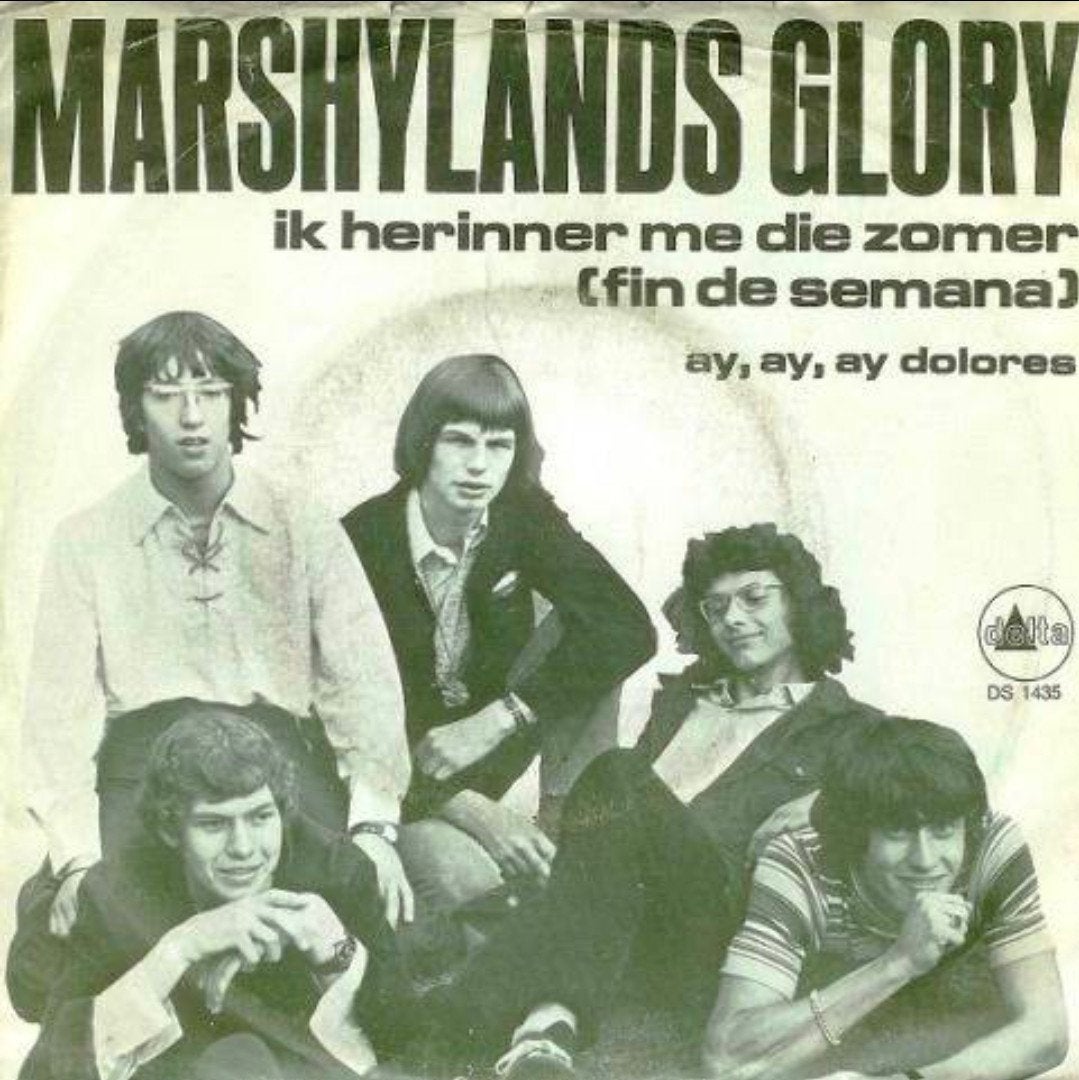 gezocht: marshylands glory"ik herinner me die zomer", Ophalen of Verzenden, Zo goed als nieuw, Overige formaten, Levenslied of Smartlap