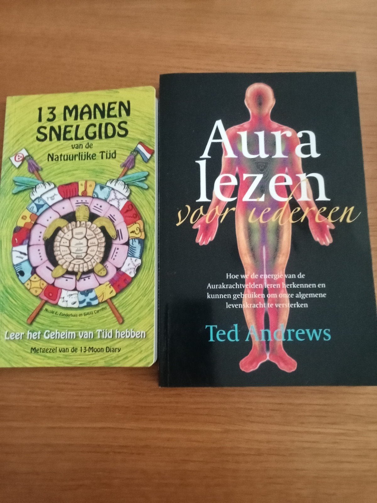 Aura Lezen voor Iedereen & 13 Manen Snelgids (2 boeken), Boeken, Gelezen, Spiritualiteit algemeen, Ted Andrews, Nicole E. Zonderhuis, Saskia Cammeraat