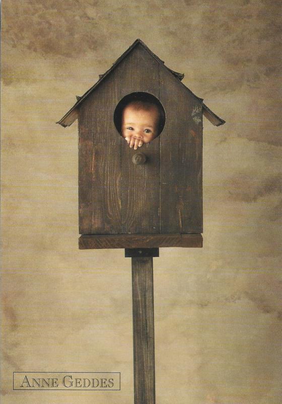 Anne Geddes kaart nr. A229: Vogelhuisje, Verzenden, 1980 tot heden, Ongelopen, Kinderen