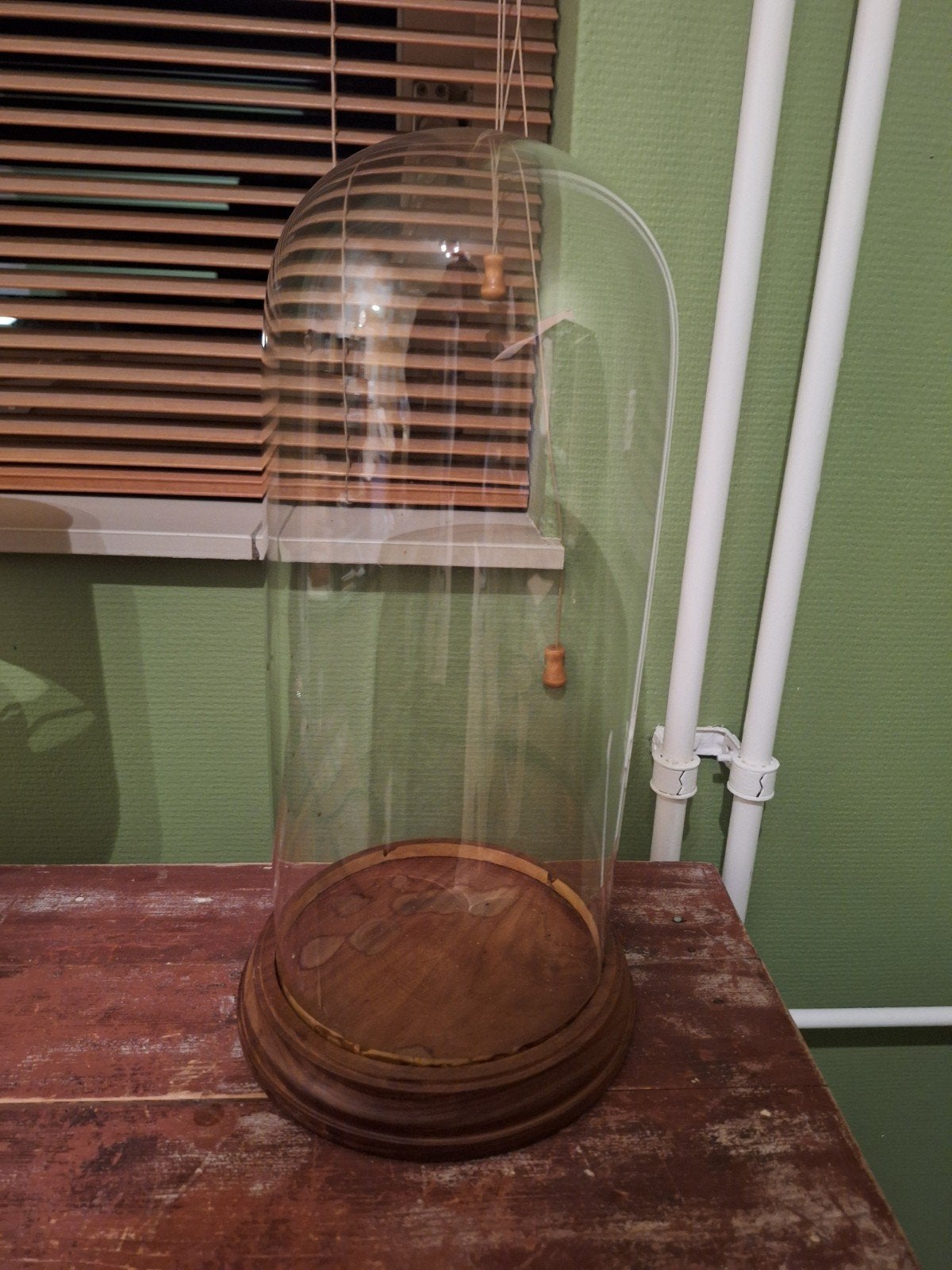 Glazen stolp met houten voet, Ophalen