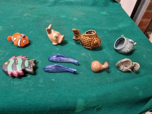 beelden vissen verschillende, Ophalen of Verzenden