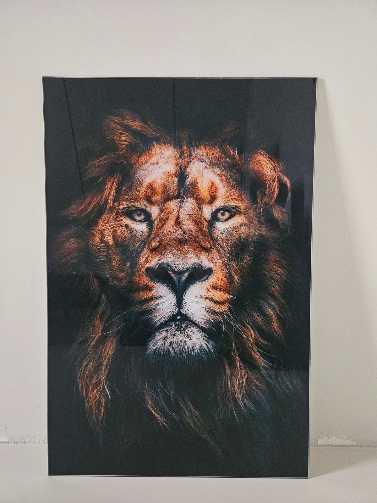 Muurdecoratie leeuw gehard glas 60x90 cm (Wallfield), Ophalen of Verzenden, Gebruikt, Print, 75 – 100