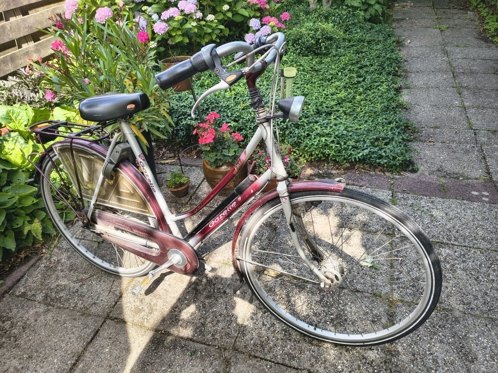 Gazelle Free, Ophalen, Gebruikt, Versnellingen, 56 cm of meer