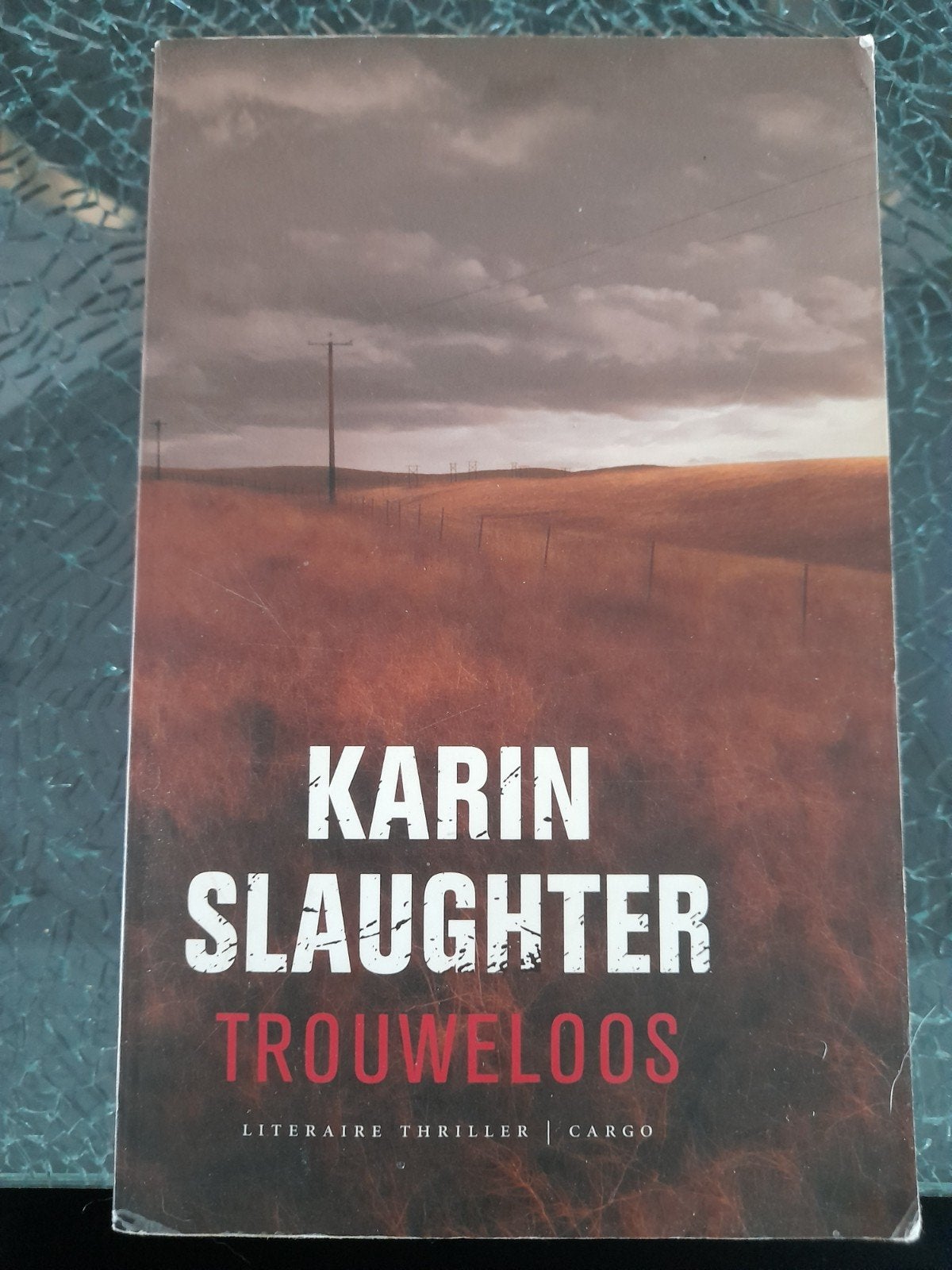 karin Slaughter, Ophalen of Verzenden, Zo goed als nieuw, Karin Slaughter