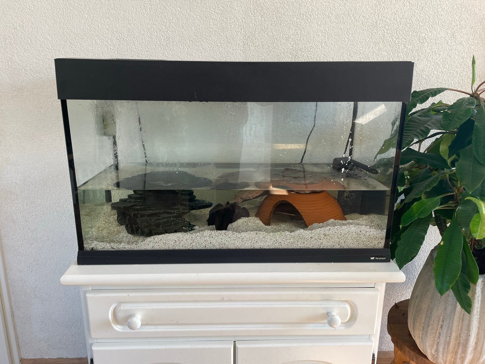Aquarium met schildpad, Ophalen, Zo goed als nieuw