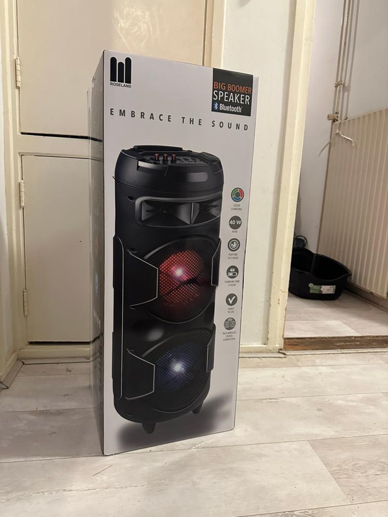 Nieuwe Roseland Big Boomer Speaker Bluetooth 40W, Audio, Tv en Foto, Luidsprekers, Nieuw, Overige typen, Minder dan 60 watt, Overige merken
