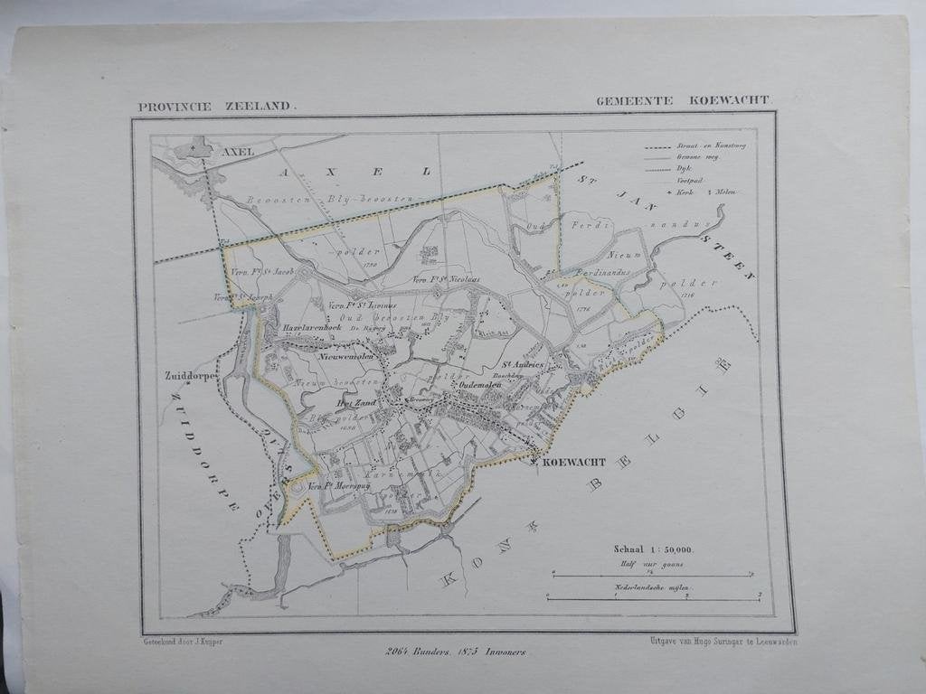 35 / Koewacht Hazelarenhoek Zuiddorpe Litho 1866 J. Kuyper, Ophalen of Verzenden