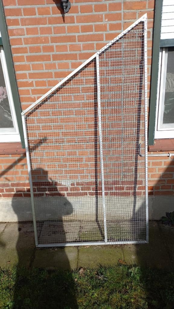 Alugaaspaneel, Dieren en Toebehoren, Mannelijk, Papegaai