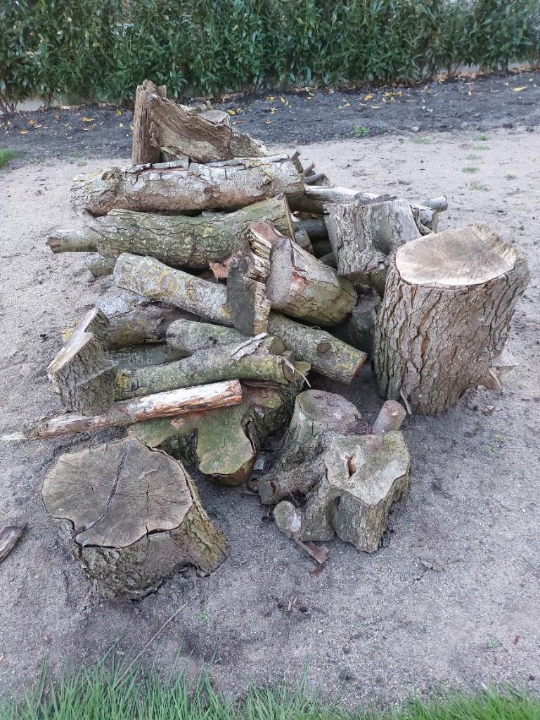 haardhout zelf te kloven els ca 1m3, Minder dan 3 m³, Ophalen, Elzenhout, Blokken