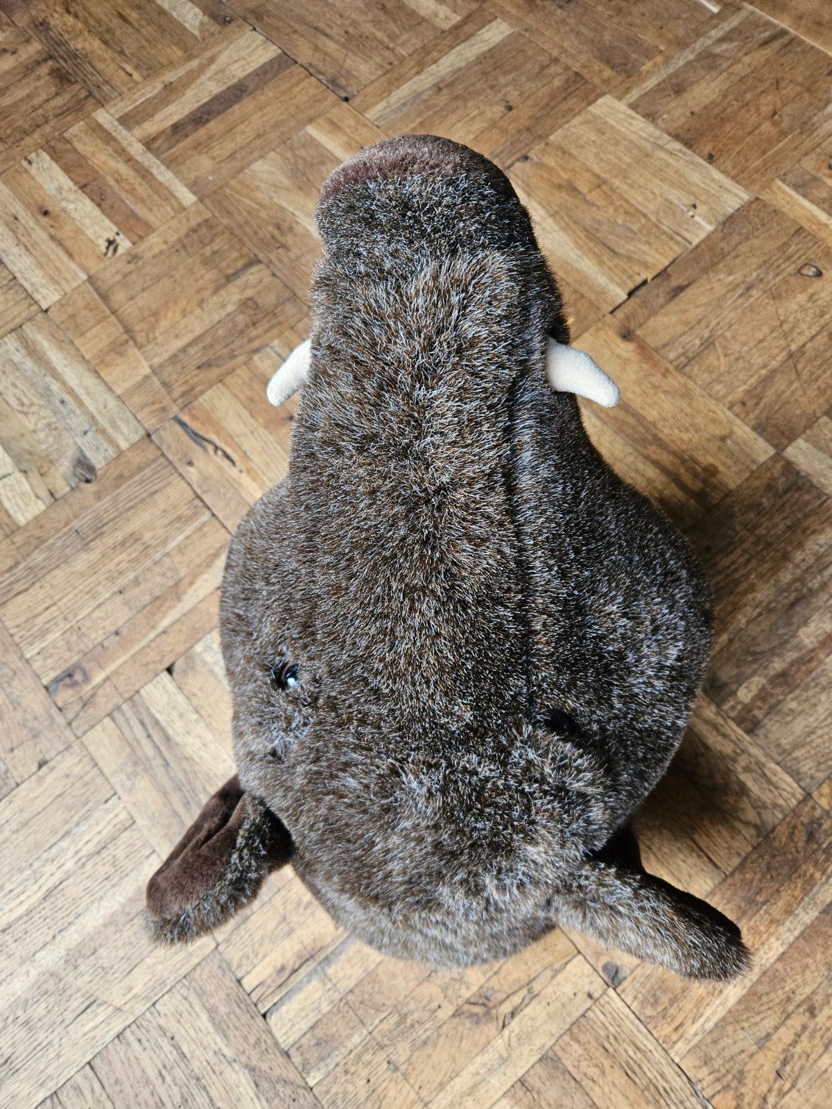 Pluche Dierenkop Wild Zwijn voor Kinderkamer Wanddecoratie, Gebruikt, Overige merken, Overige karakters, Overige typen