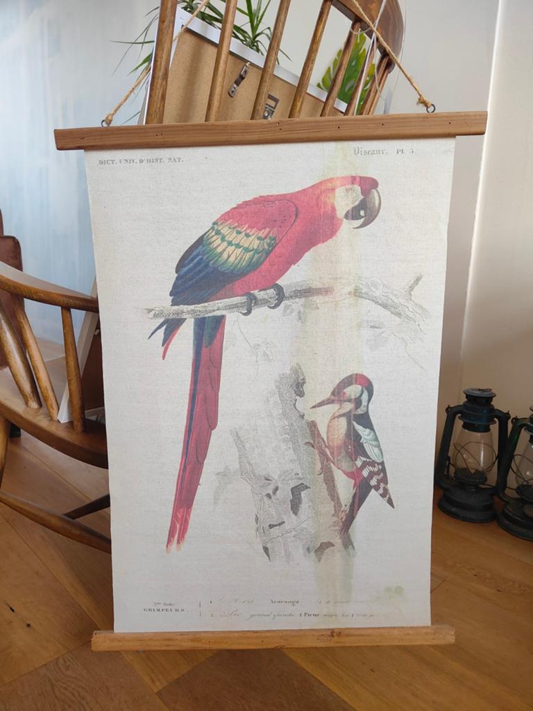 Vintage wandkleed met papegaai en specht, Ophalen, Natuur en Biologie